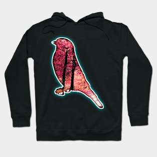 Forest Bird Background Hoodie